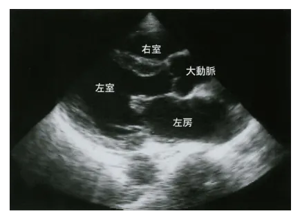 第100回 I問題 第18問の問題画像