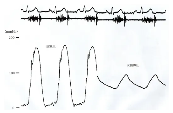 第100回 I問題 第26問の問題画像