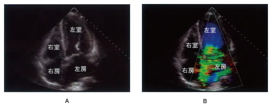 第101回 A問題 第19問の問題画像