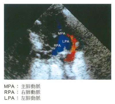 第102回 A問題 第60問の問題画像