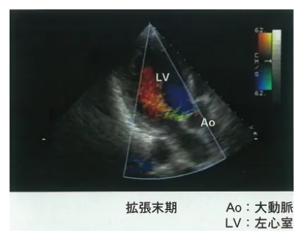 第103回 D問題 第59問の問題画像