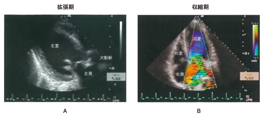 第104回 D問題 第25問の問題画像