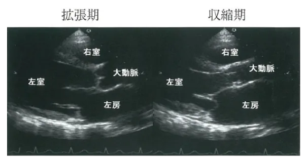 第104回 I問題 第48問の問題画像