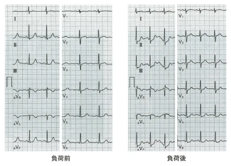 第105回 D問題 第24問の問題画像