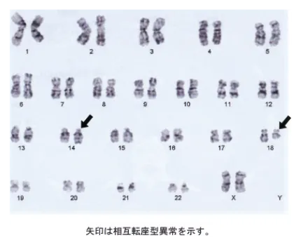 第108回 D問題 第12問の問題画像