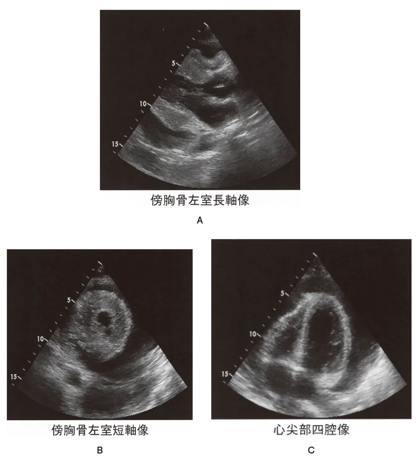 第108回 I問題 第41問の問題画像