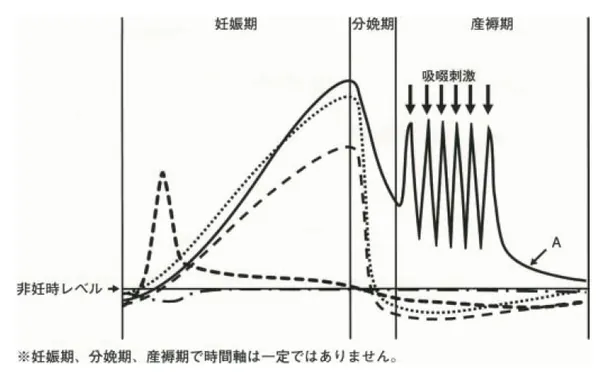 第115回 B問題 第8問の問題画像