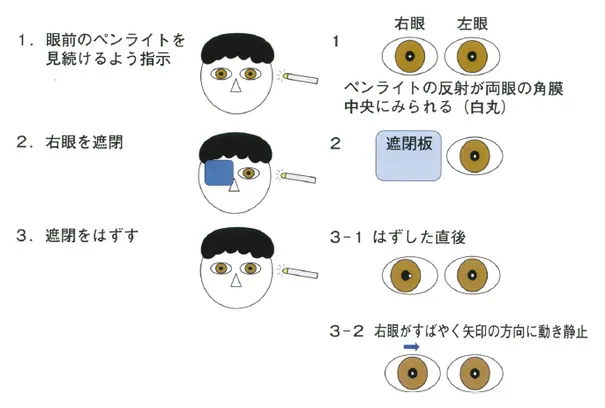 第116回 D問題 第26問の問題画像