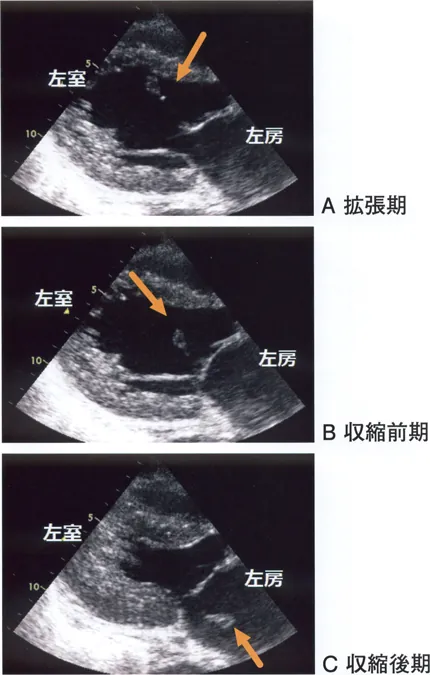 第117回 A問題 第29問の問題画像