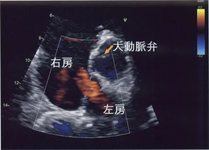 第117回 A問題 第73問の問題画像