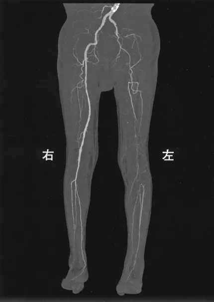 第117回 E問題 第40問の問題画像