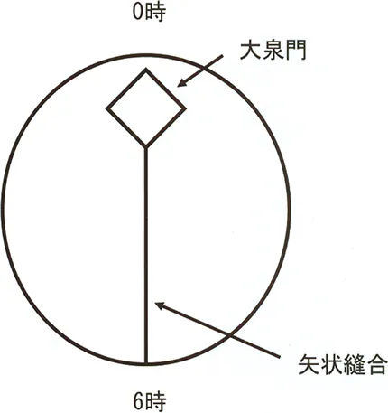 第118回 F問題 第18問の問題画像