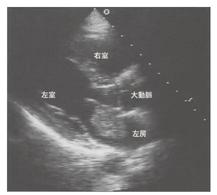 第99回 A問題 第22問の問題画像